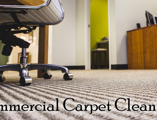 Commercial Carpet Cleaning Services in Dartmouth